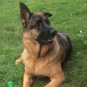 Meet your Posher, Jacque